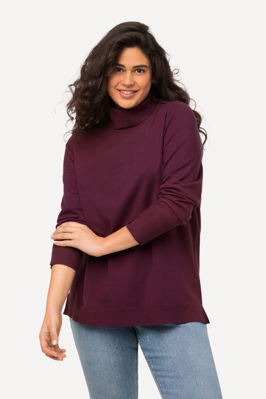 Pull à col roulé, manches longues avec larges bords-côtes