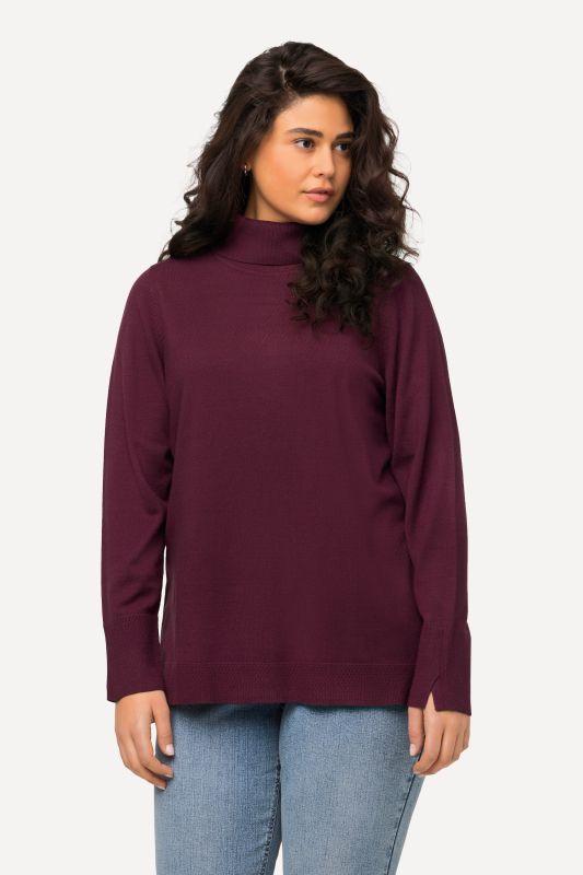 Pull à col roulé, manches longues avec larges bords-côtes
