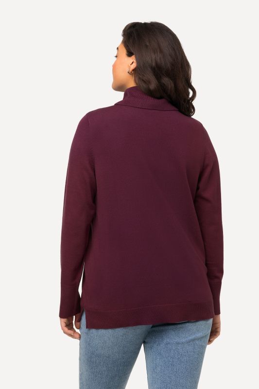 Pull à col roulé, manches longues avec larges bords-côtes