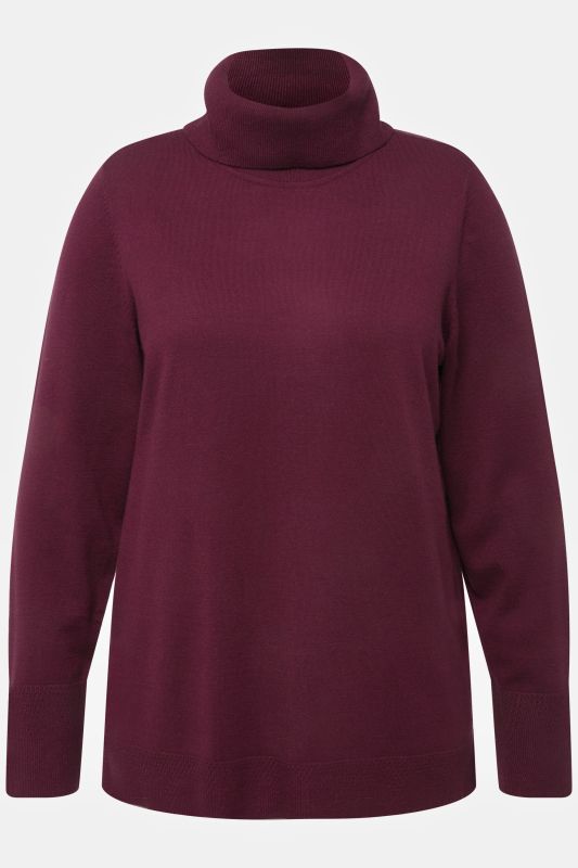 Pull à col roulé, manches longues avec larges bords-côtes