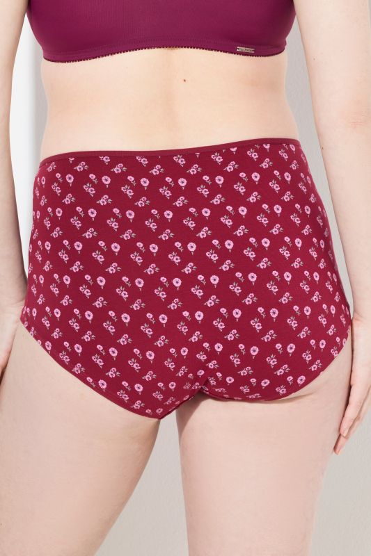Culotte