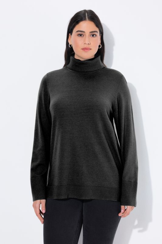 Pull à col roulé, manches longues avec larges bords-côtes