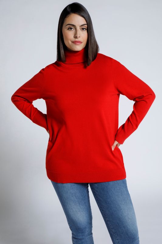 Pull à col roulé, manches longues avec larges bords-côtes
