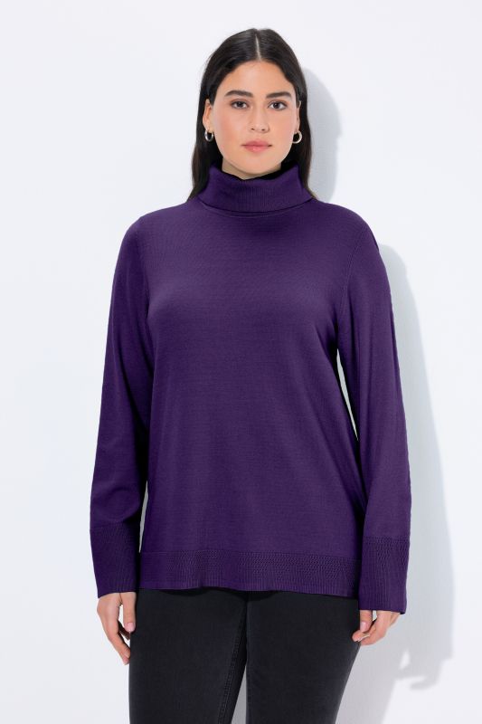 Pull à col roulé, manches longues avec larges bords-côtes