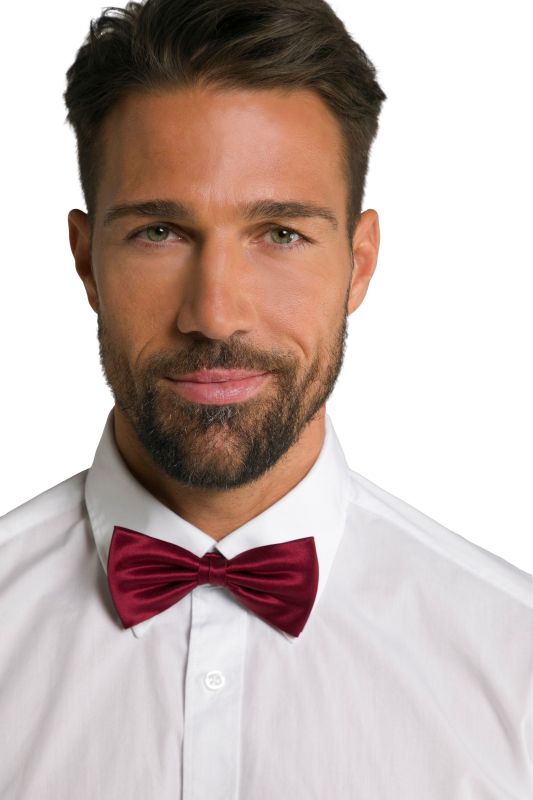 Nœud papillon  avec crochet d'attache, pure soie