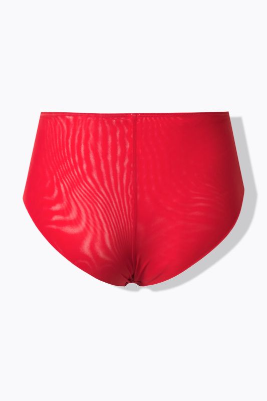 Hipster avec dentelle, dos en mesh