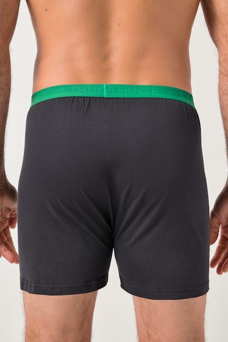 Caleçons STHUGE, lot de 3. Finition FLEXLASTIC®, label OEKO-TEX - jusqu'au 8 XL